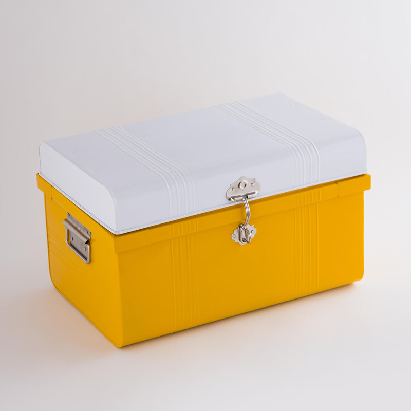 White & yellow trunk